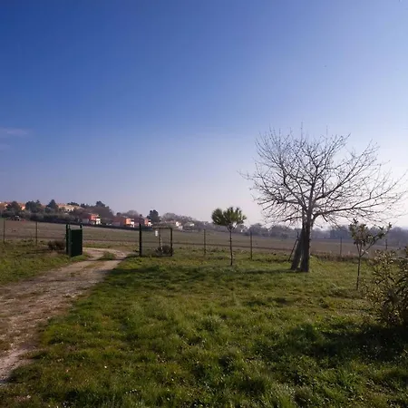 S211 - Sirolo, Nuovissimo Bilocale Con Portico Dx Apartment *